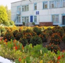 ДОУ Родничок